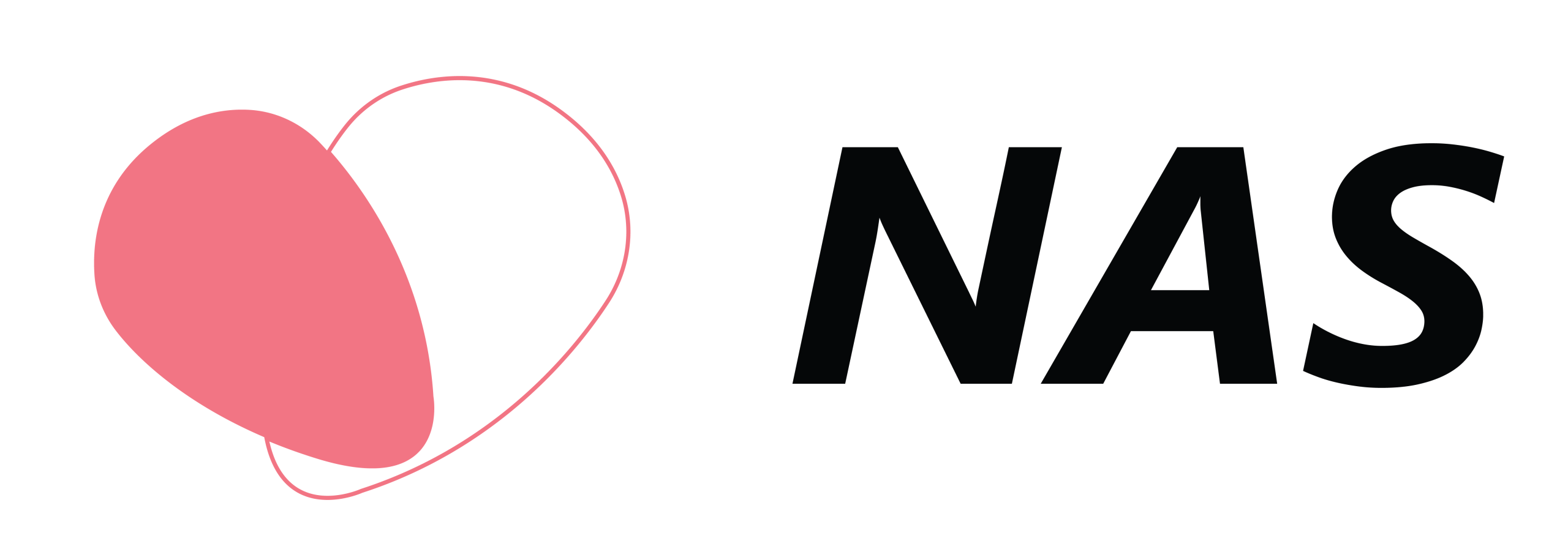 NAS insurance partner